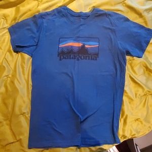 Patagonia tee shirt